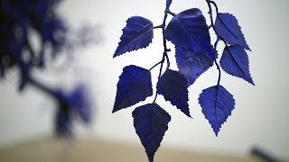 프로젝트B6 영상