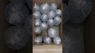 Download Lagu baby🍼clowns stock available | marine fishes in hyderabad | WhatsApp no: 6301 016 140 #viral MP3