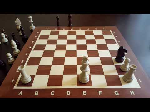 فيديو: ما هي قواعد التبييت في الشطرنج