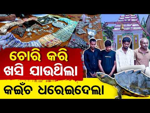 ଚୋରି କରି ଖସି ଯାଉଥିଲା, କଇଁଚ ଧରେଇଦେଲା | Odisha Reporter