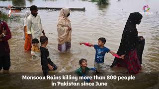 Pakistan Floods 2025 - Flood Emergency Appeal for Punjab