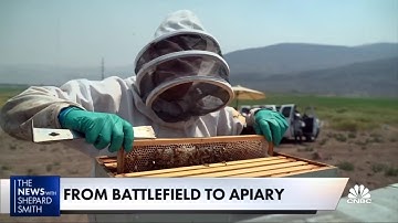 How bees help veterans cope with traumatic stress