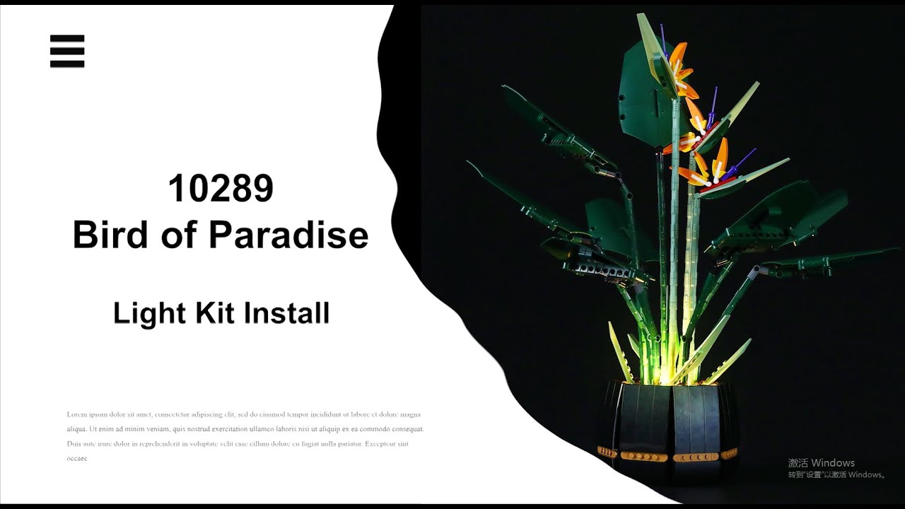 Install Lightailing Light Kit For Lego Bird of Paradise 10289 