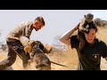 Volunteer at the namibia wildlife sanctuary  the great projects