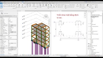 Bài 12 . Triển khai mặt bằng định vị cọc với Revit 2020