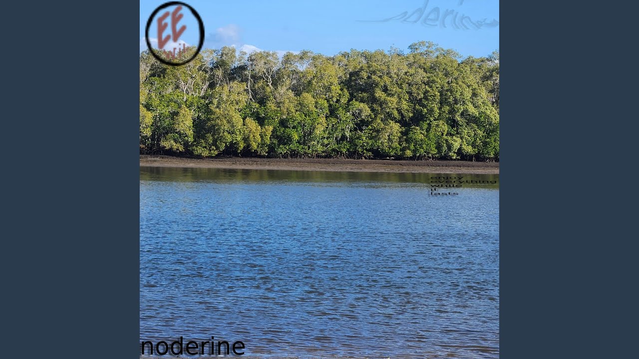 Watch noderine vii on YouTube Watch noderine vii on YouTube