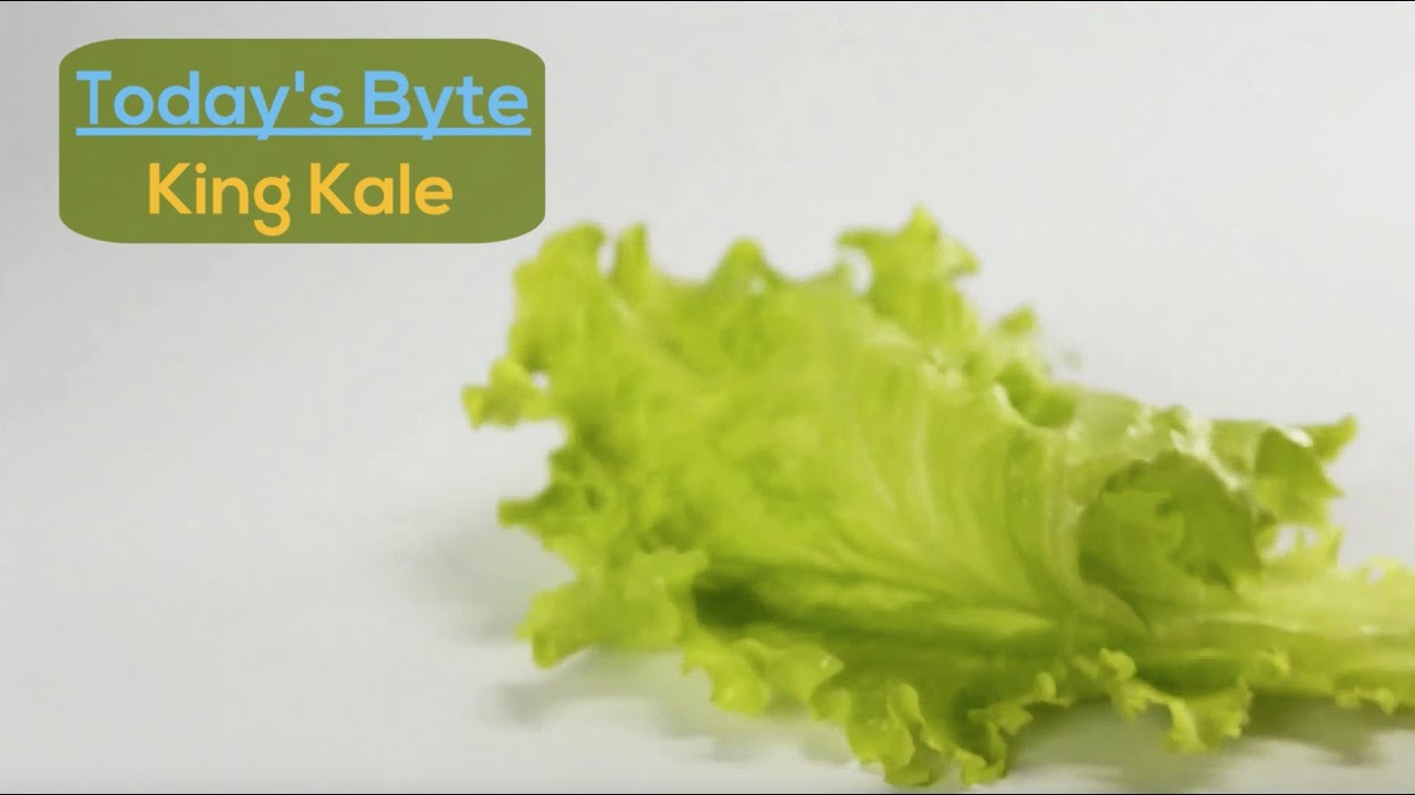 WellWell 365 King Kale YouTube