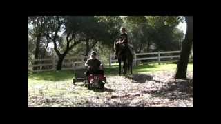 UCS 22.3 ATV Roping Cow UCS 22.3 ATV Roping Cow