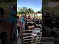 Feira de animais na cidade de Monteiro vídeo completo no canal