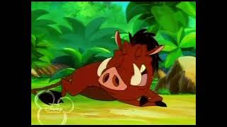 Timon And Pumbaa - Early Bird Watchers Part 5