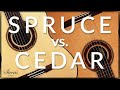 Spruce vs cedar classical guitars tone comparison  klassische gitarre fichte oder zeder