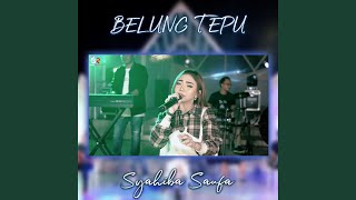 Смотреть клип Belung Tepu
