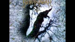 Borknagar - A Tale of Pagan Tongue