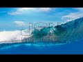 Amar - Jendelamusica