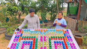 Ball Sort Puzzle Game Champion Brian #challenge #sortcolor #puzzlesolving  #game #puzzleball #puzzle