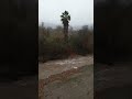 California rainstorm flowing in new part of riverbed