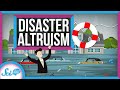 Why We Respond to Disasters with Altruism