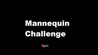 Mannequin Challenge