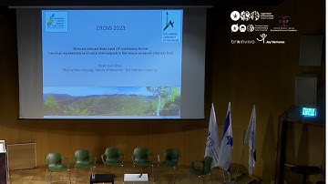 Stimulus induced theta band LFP oscillations format neuronal representations of social chemosignals