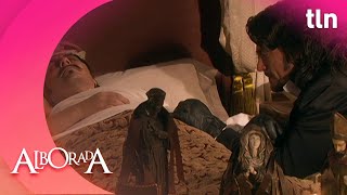 Luis is confident that Cristóbal will recover from the gunshot wound | Alborada | Chapter 25 3/4