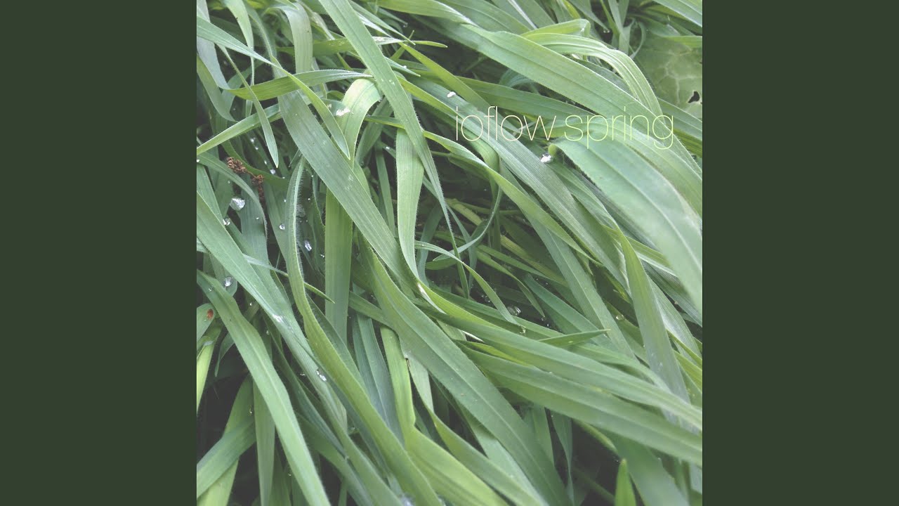 Watch sun-dappled stillness on YouTube Watch sun-dappled stillness on YouTube