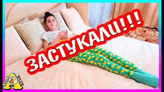 Застукала Алису ночью с....        хомяком         / Alisa Easy Pets