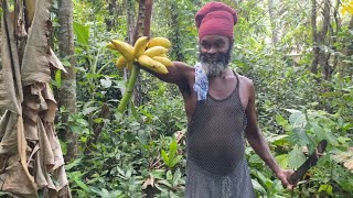 Jamaica Exotic Fruits And Watas Cocoa Frog Banana Nutmeg Guava Pepper Ackee Lime Asmr