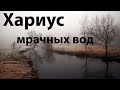 Забытые реки #11 Хариус в ноябре.