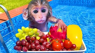 Monkey BonBon Goes Swimming and Eats Cool Watermelon with Cute Puppy - Crew BonBon