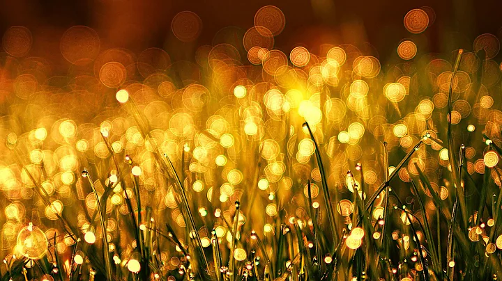 Self Empowerment, Guided Meditation