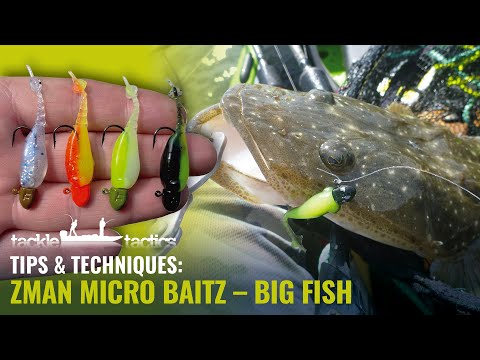 ZMan 2 StingerZ - Bream and Flathead Fishing on Micro Finesse BaitZ Soft  Plastics How To 