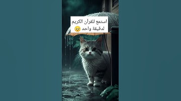 #سورة_الكهف #اسلام_صبحي #السديس #ماهر_المعيقلي