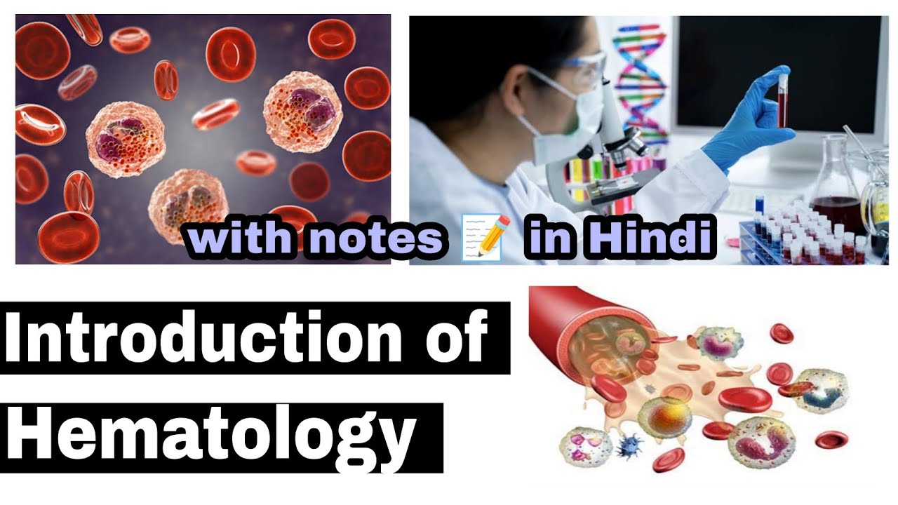 Hematology Hematology In Hindi What Is Hematology All About Hematology Hematology In Hindi What Is Hematology All About