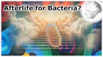 The afterlife for plants and animals: Burkhard Heim’s maxim telecentrism part 2 (EA15)