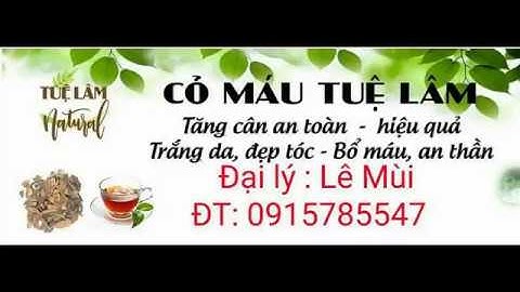 Cỏ máu tăng cân Tuệ Lâm 0915785547