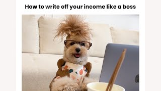 Happy Tax Day said no one ever by Noodlesthepooch 48,922 views 1 month ago 1 minute, 4 seconds