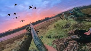 2023-2024 Duck Season Highlights (POV) by CCS Outdoors 2,037 views 2 months ago 13 minutes, 33 seconds
