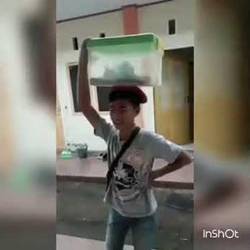 Penjual ngakak penjual nasi kuning terkeren di dunia