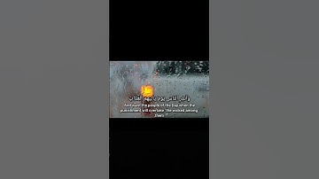 سورة إبراهيم #قران Surah Ibrahim #quran (فيقول الذين ظلموا ربنا أخرنا إلى أجل قريب...)