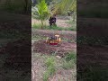 EPIC RC Dump Truck Construction! Kids Build a Mini Sand Worksite 57