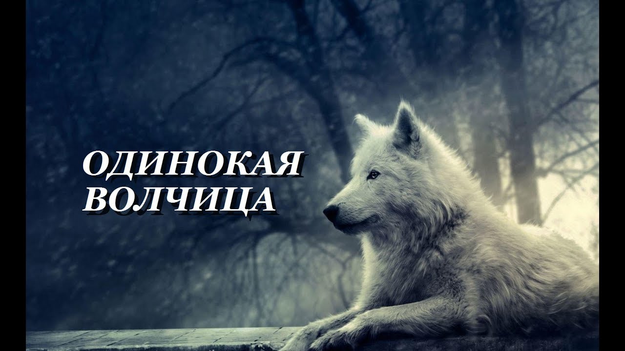 Марта, одинокая волчица картинки с надписью