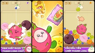 Pitaya Merge: Fruit Fever Gameplay Android Mobile screenshot 4