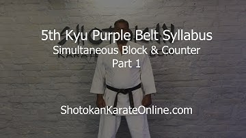 5th Kyu Purple Belt Combination Simultaneous Block And Counter
