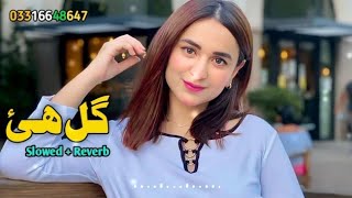 Gul Haye Kakari Shah Farooq Pashto New Songs | Slowed Reverb  | 2023 | ‎@harisofficial5869