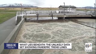 Sewage provides alternative insight into COVID-19 surge direction