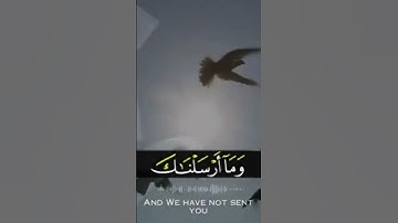 القرآن الكريم نور وهدى ورحمة للمؤمنين #القرآن_الكريم #المصحف #اللهم_صل_وسلم_على_نبينا_محمد #اكسبلور