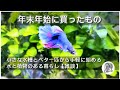 【2026】年末年始に買ったもの【雑談】小さな水槽とベタ一匹からお手軽に始める水と植物のある暮らし|アクアテラリウム