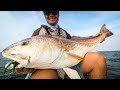 Sight Fishing 40" Redfish on Fly in Louisiana (Day 3)