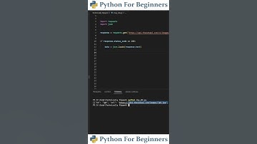 How To Connect To An API With Python | Python For Beginners