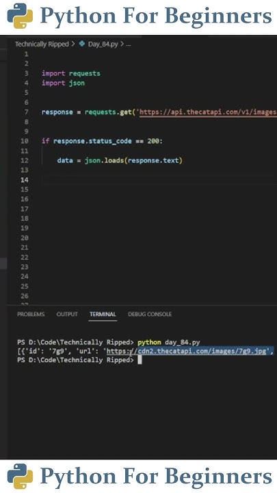How To Connect To An API With Python | Python For Beginners - YouTube